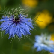Neuorientierung – auch in Sachen Gesundheit