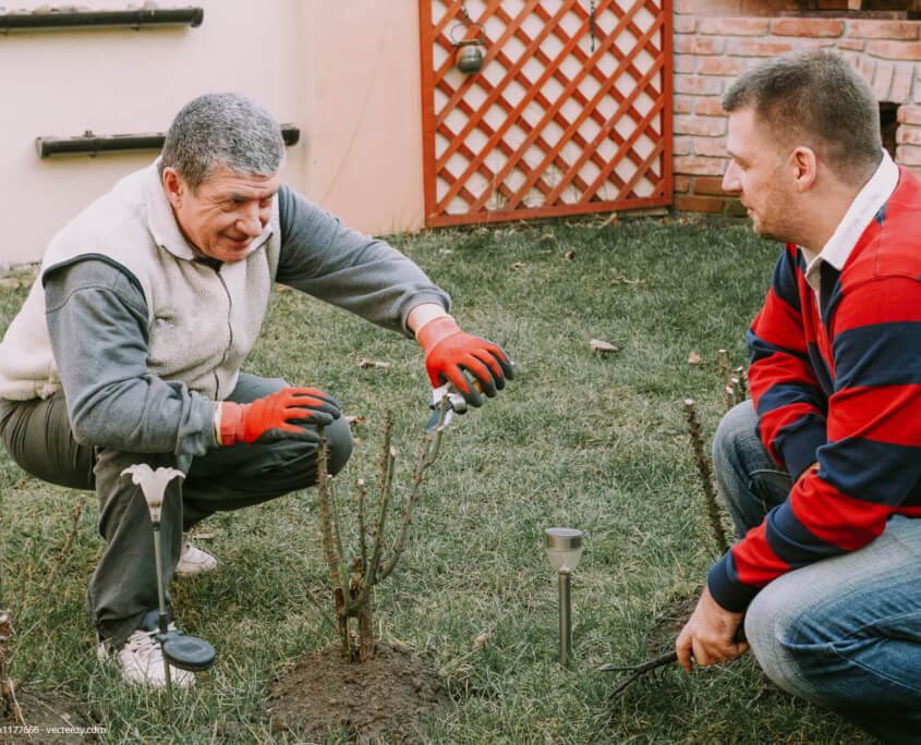 Garten- & Landschaftsbau: Engagierte Quereinsteiger gesucht!