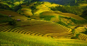 Vietnam ist eine Reise wert - beeindruckende Natur